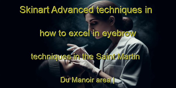 Skinart Advanced techniques in how to excel in eyebrow techniques in the Saint Martin Du Manoir area | EyebrowTraining | EyebrowClasses | SkinartTraining-France